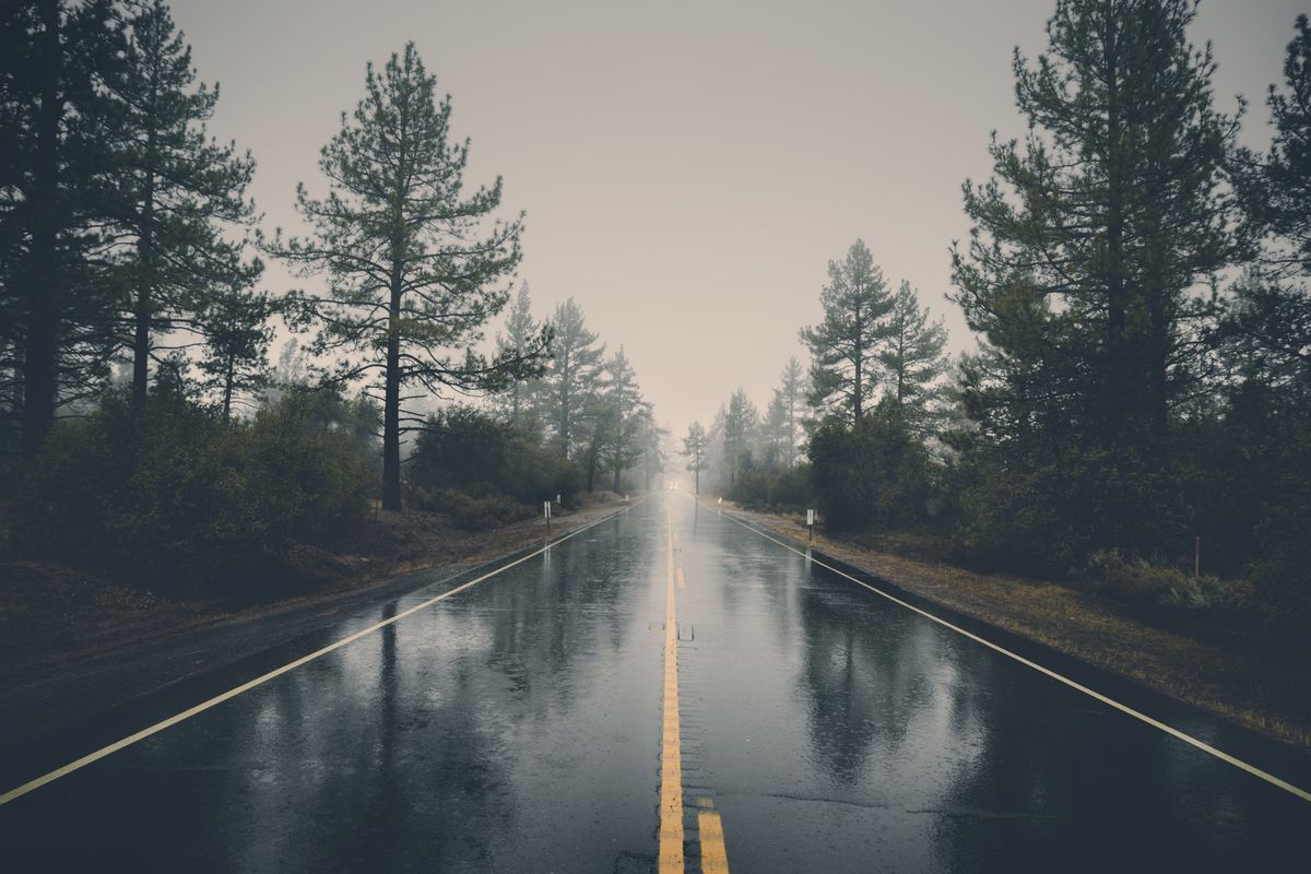雨と傘