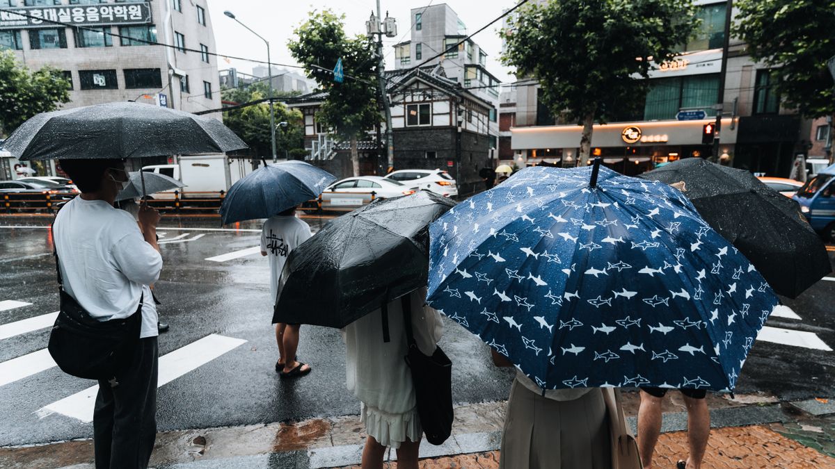 雨の交差点で傘をさして信号を待つ人たち