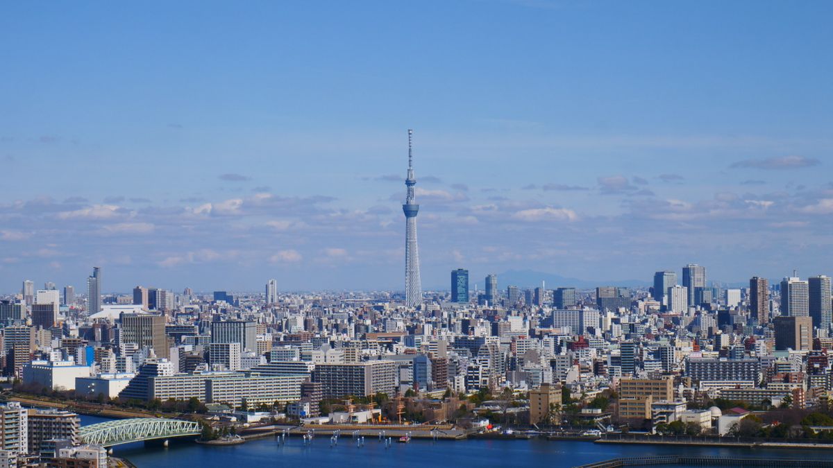 東京の街並みとスカイツリー